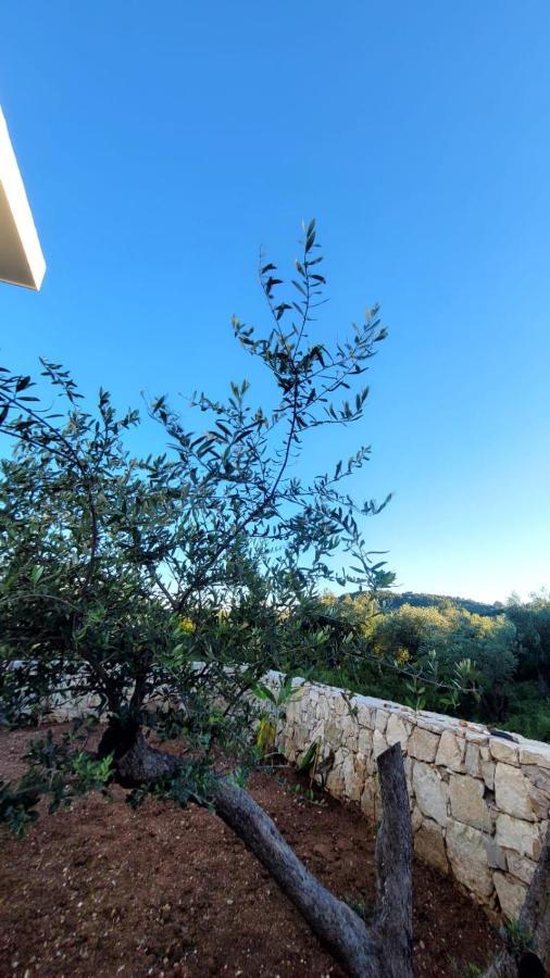 Sweet Home Himara Екстер'єр фото